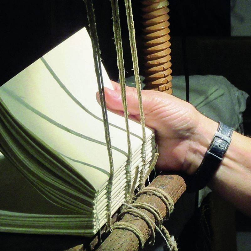 343803518_997236138308088_1488720165084139034_n