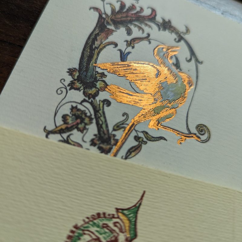 358542645_1219742395634843_3184350189401803448_n