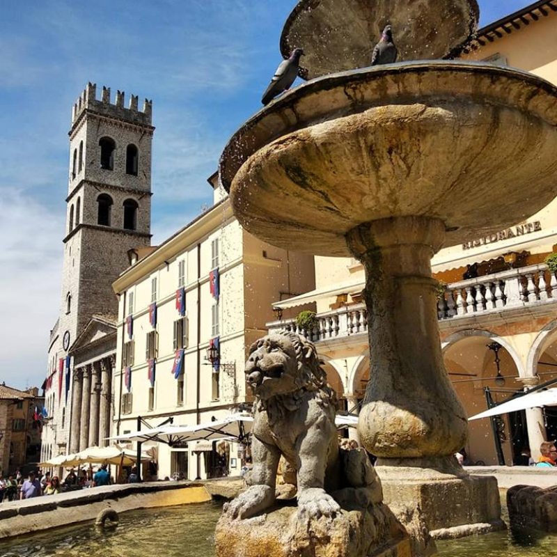 42673231_2354008561282932_3670781867830804480_n